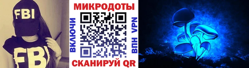 Псилоцибиновые грибы Psilocybe  Советск 